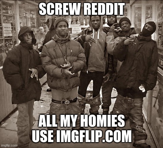 all my homies use imgflip.com | SCREW REDDIT; ALL MY HOMIES USE IMGFLIP.COM | image tagged in all my homies hate,imgflip,meanwhile on imgflip,funny,memes | made w/ Imgflip meme maker