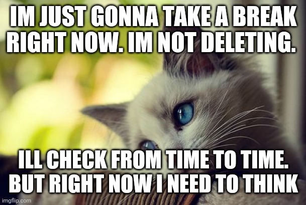 Dont worry about me | IM JUST GONNA TAKE A BREAK RIGHT NOW. IM NOT DELETING. ILL CHECK FROM TIME TO TIME. BUT RIGHT NOW I NEED TO THINK | image tagged in memes,first world problems cat | made w/ Imgflip meme maker