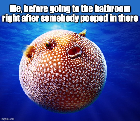 Me, before going to the bathroom right after somebody pooped in there | made w/ Imgflip meme maker