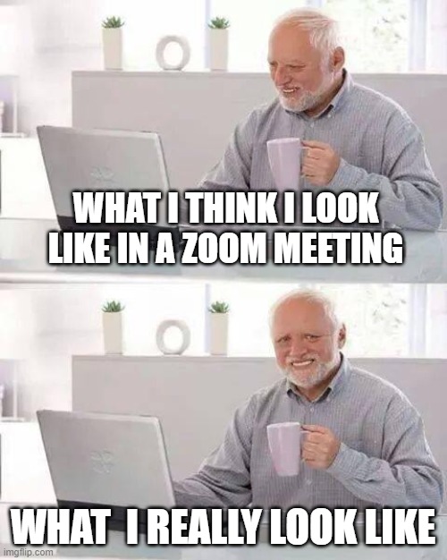 Hide the Pain Harold Meme | WHAT I THINK I LOOK LIKE IN A ZOOM MEETING; WHAT  I REALLY LOOK LIKE | image tagged in memes,hide the pain harold | made w/ Imgflip meme maker