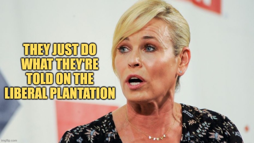 Stupid People Chelsea Handler | THEY JUST DO WHAT THEY'RE TOLD ON THE LIBERAL PLANTATION | image tagged in stupid people chelsea handler | made w/ Imgflip meme maker