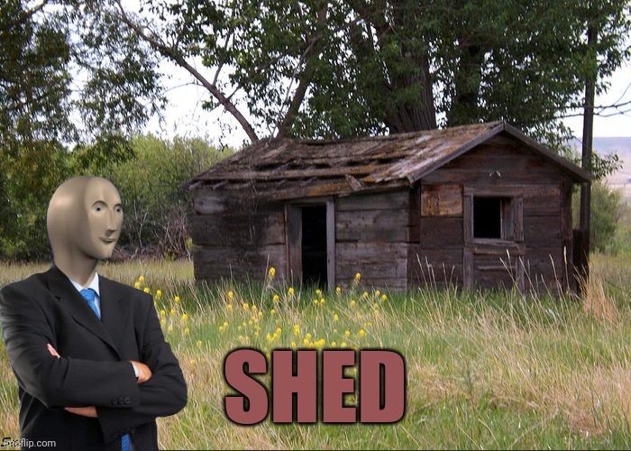 Stonks | SHED | image tagged in stonks,shed,drstrangmeme | made w/ Imgflip meme maker