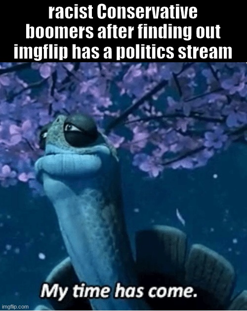 My Time Has Come | racist Conservative boomers after finding out imgflip has a politics stream | image tagged in my time has come | made w/ Imgflip meme maker