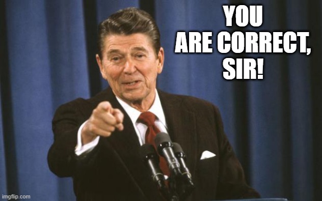 Ronald Reagan | YOU ARE CORRECT, SIR! | image tagged in ronald reagan | made w/ Imgflip meme maker
