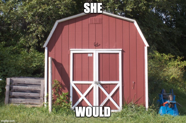 Shed | SHE WOULD | image tagged in shed | made w/ Imgflip meme maker