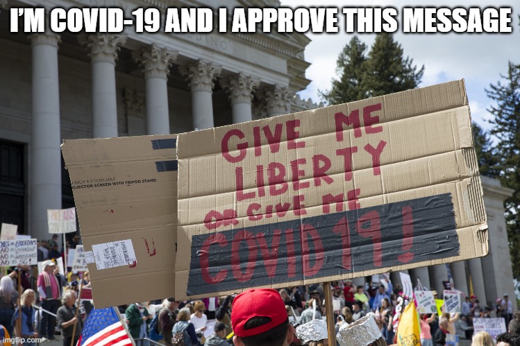 I’m COVID-19 and I approve this message |  I’M COVID-19 AND I APPROVE THIS MESSAGE | image tagged in covid,coronavirus,trump,trump supporters,2020 elections,pandemic | made w/ Imgflip meme maker