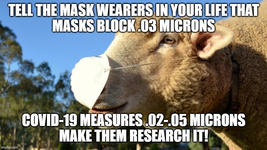 SHEEPLE | TELL THE MASK WEARERS IN YOUR LIFE THAT
MASKS BLOCK .03 MICRONS; COVID-19 MEASURES .02-.05 MICRONS
MAKE THEM RESEARCH IT! | image tagged in sheep wearing mask | made w/ Imgflip meme maker