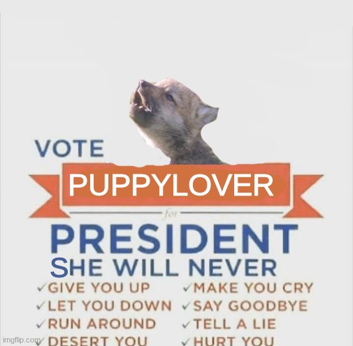 LETS GO PUPPYYYY | PUPPYLOVER; S | image tagged in vote rick astley for president | made w/ Imgflip meme maker
