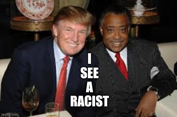 YES......... I SEE A RACIST | I
SEE
A
RACIST | image tagged in funny,memes,political meme,politics,donald trump,al sharpton racist | made w/ Imgflip meme maker