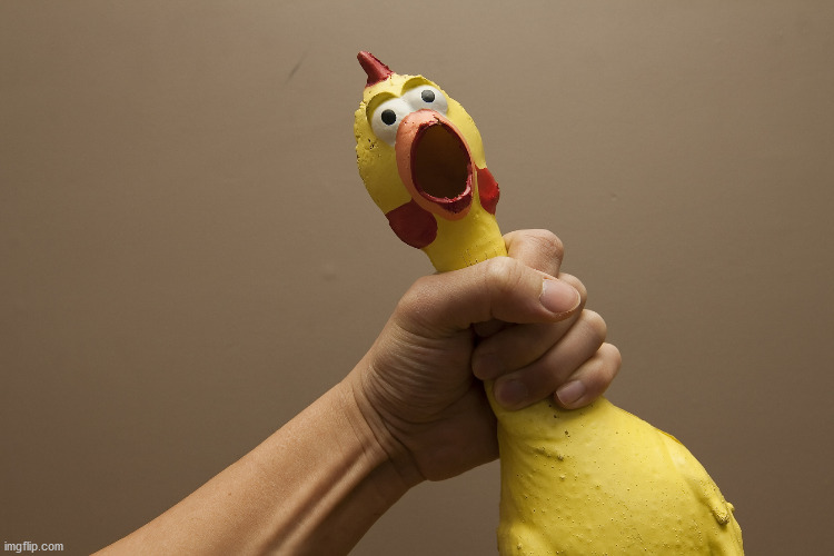 Rubber chicken | image tagged in rubber chicken | made w/ Imgflip meme maker