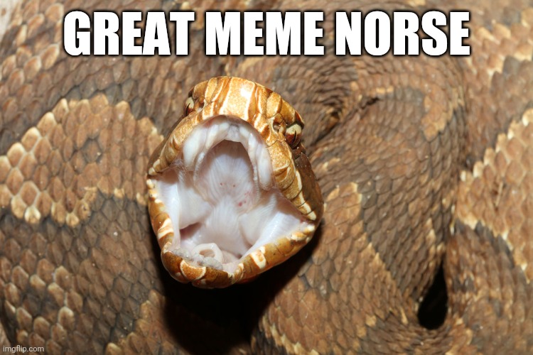 GREAT MEME NORSE | made w/ Imgflip meme maker