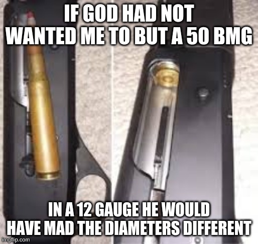 WHATS WRONG WITH YOU GOD | IF GOD HAD NOT WANTED ME TO BUT A 50 BMG; IN A 12 GAUGE HE WOULD HAVE MAD THE DIAMETERS DIFFERENT | image tagged in pain | made w/ Imgflip meme maker