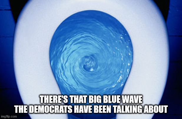 toilet flushing | THERE'S THAT BIG BLUE WAVE THE DEMOCRATS HAVE BEEN TALKING ABOUT | image tagged in toilet flushing | made w/ Imgflip meme maker