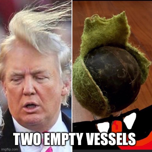 Trump and the chewed up tennis ball | TWO EMPTY VESSELS | image tagged in donald trump,trump is a moron,donald trump is an douche,vote him out,donald trump you're fired | made w/ Imgflip meme maker