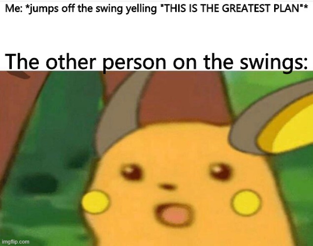 surprised raichu | Me: *jumps off the swing yelling "THIS IS THE GREATEST PLAN"*; The other person on the swings: | image tagged in surprised raichu | made w/ Imgflip meme maker