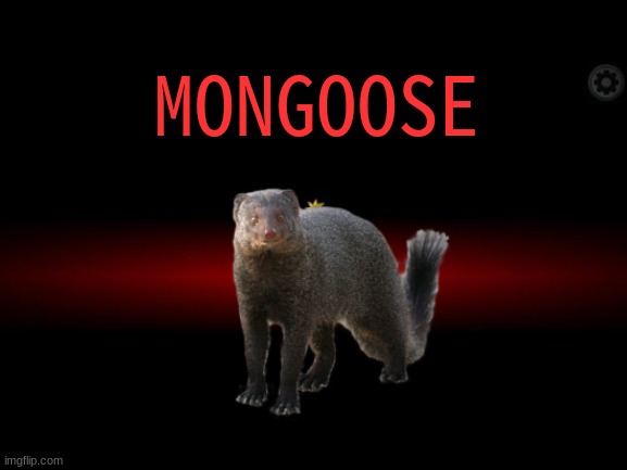 New Among Us Role Idea | MONGOOSE | image tagged in impostor,memes,funny,mongoose | made w/ Imgflip meme maker