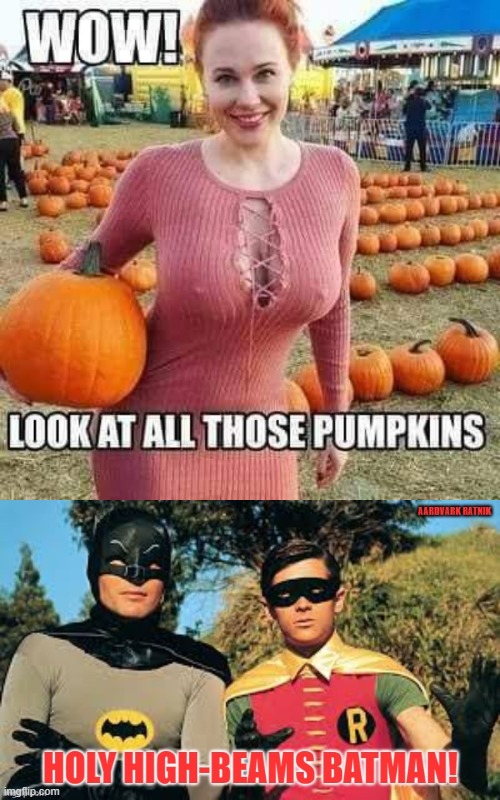 Holy Pumpkins | image tagged in happy halloween,sexy women,batman and robin,pumpkins,funny memes | made w/ Imgflip meme maker