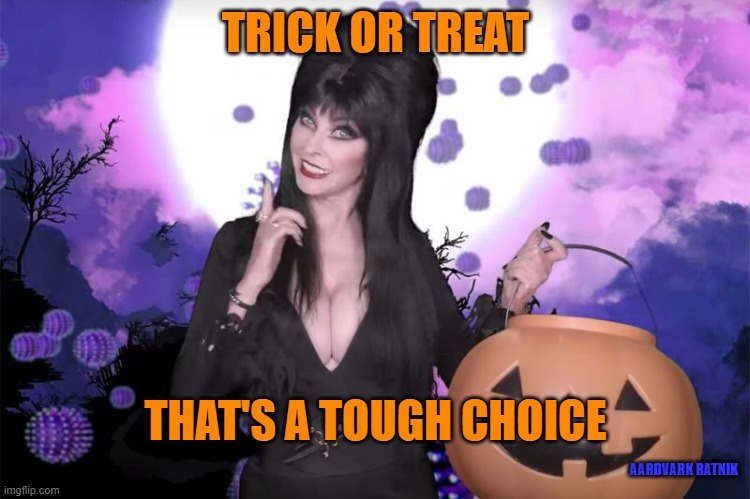 Elvira's Candy | TRICK OR TREAT; THAT'S A TOUGH CHOICE; AARDVARK RATNIK | image tagged in happy halloween,elvira,trick or treat,sexy,funny memes | made w/ Imgflip meme maker