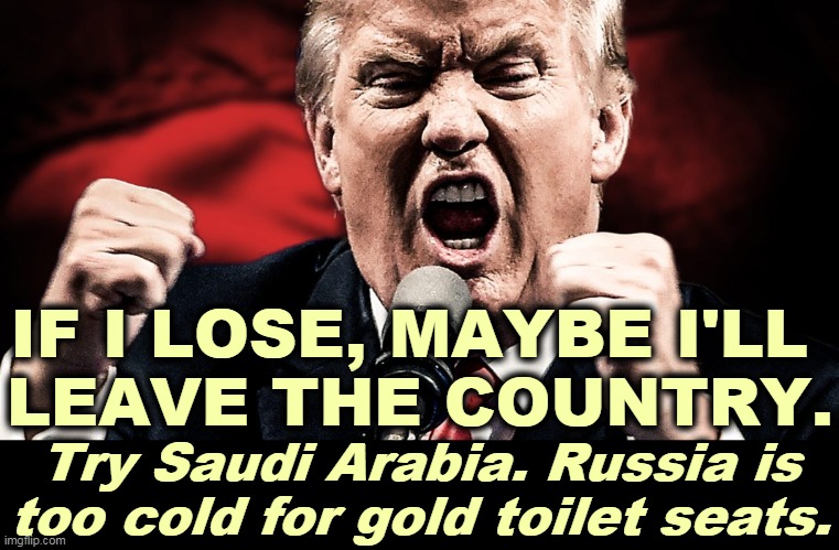 And take your awful kids with you. | IF I LOSE, MAYBE I'LL 
LEAVE THE COUNTRY. Try Saudi Arabia. Russia is too cold for gold toilet seats. | image tagged in trump,loser,run,russia,saudi arabia | made w/ Imgflip meme maker