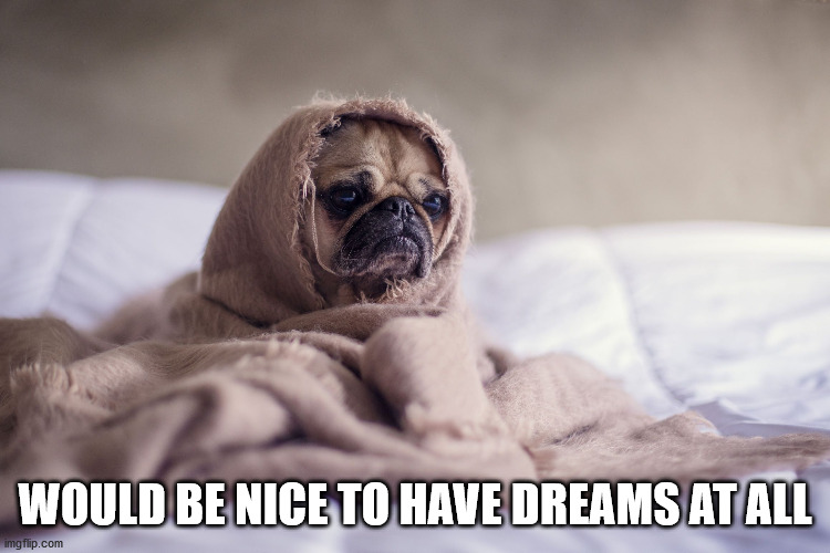 Burlap Pug of Sorrow | WOULD BE NICE TO HAVE DREAMS AT ALL | image tagged in burlap pug of sorrow | made w/ Imgflip meme maker