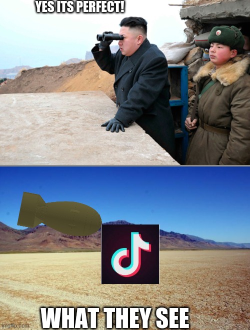 tik tok being destroyed | YES ITS PERFECT! WHAT THEY SEE | image tagged in north korea looking at things | made w/ Imgflip meme maker