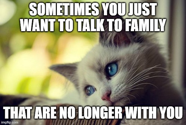 Family | SOMETIMES YOU JUST WANT TO TALK TO FAMILY; THAT ARE NO LONGER WITH YOU | image tagged in memes,first world problems cat | made w/ Imgflip meme maker