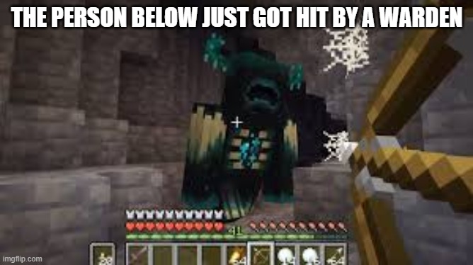 THE PERSON BELOW JUST GOT HIT BY A WARDEN | made w/ Imgflip meme maker