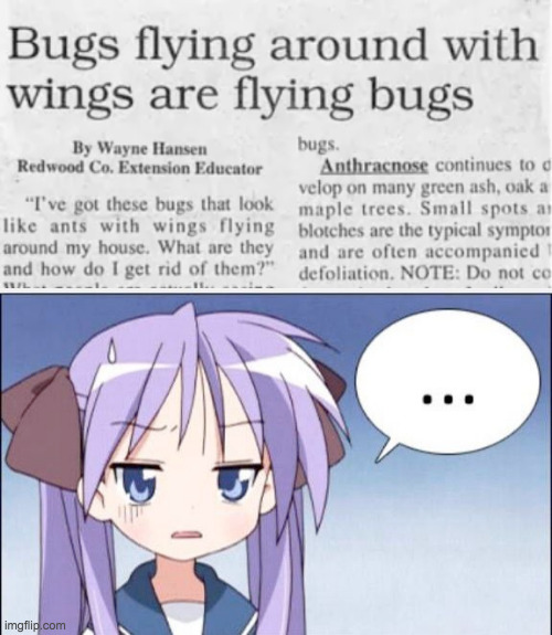 bugs that fly are flying bugs | image tagged in facepalm | made w/ Imgflip meme maker