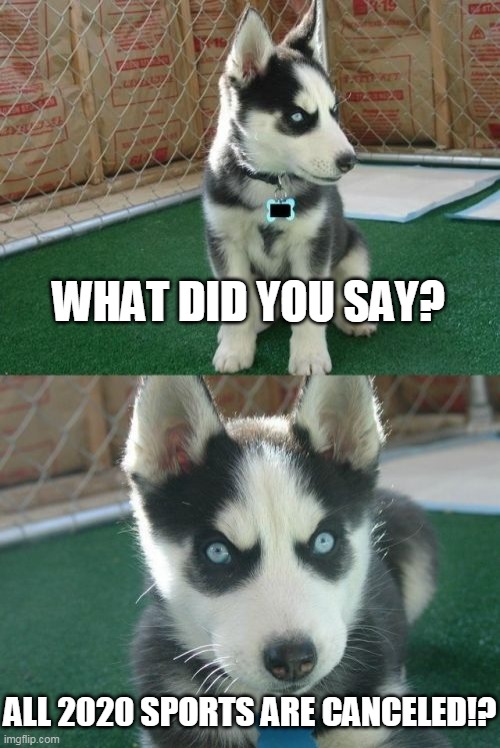 Insanity Puppy | WHAT DID YOU SAY? ALL 2020 SPORTS ARE CANCELED!? | image tagged in memes,insanity puppy | made w/ Imgflip meme maker