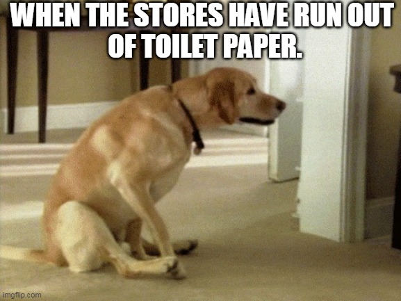 Doggie wipe | WHEN THE STORES HAVE RUN OUT 
OF TOILET PAPER. | image tagged in doggie wipe | made w/ Imgflip meme maker