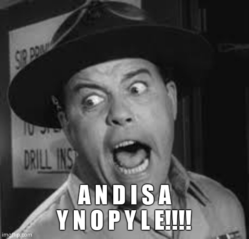 Sgt. Carter Yelling | A N D I S A Y N O P Y L E!!!! | image tagged in sgt carter yelling | made w/ Imgflip meme maker