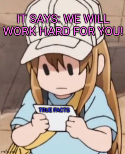 IT SAYS: WE WILL WORK HARD FOR YOU! TRUE FACTS | made w/ Imgflip meme maker