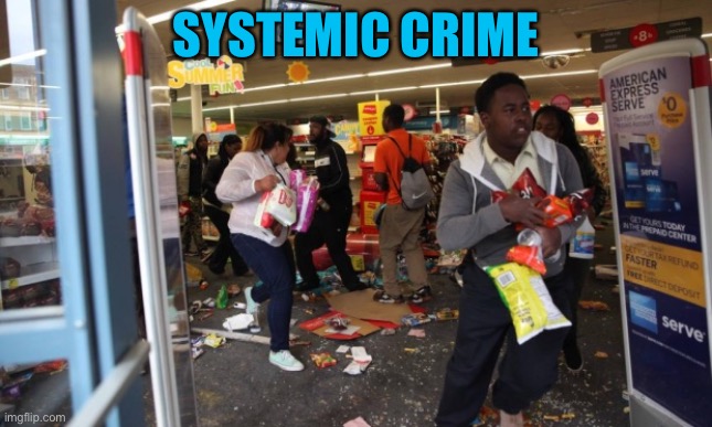 looters | SYSTEMIC CRIME | image tagged in looters | made w/ Imgflip meme maker