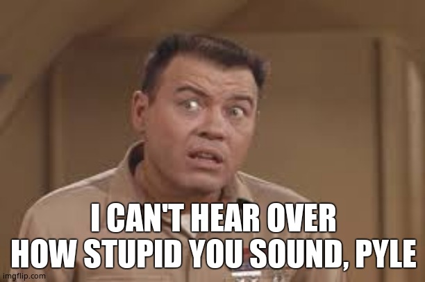 Sgt. Carter, come again? | I CAN'T HEAR OVER HOW STUPID YOU SOUND, PYLE | image tagged in sgt carter come again | made w/ Imgflip meme maker