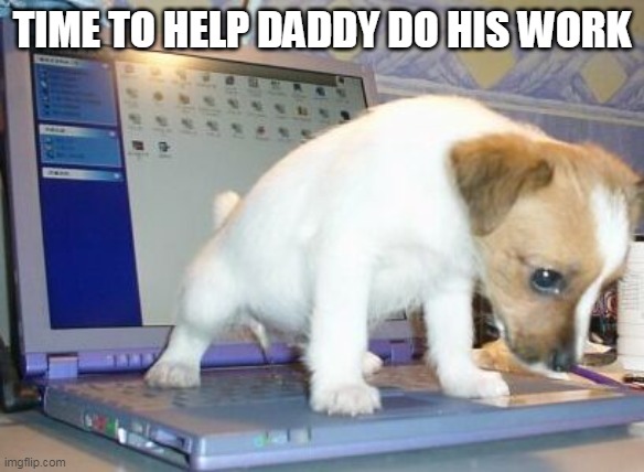 puppy pee laptop | TIME TO HELP DADDY DO HIS WORK | image tagged in puppy pee laptop | made w/ Imgflip meme maker