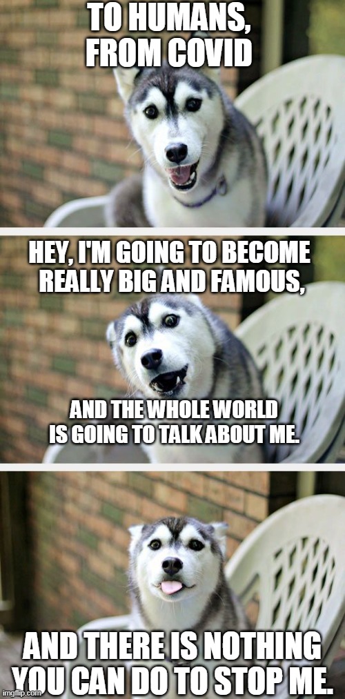 Hi from Covid | TO HUMANS, FROM COVID; HEY, I'M GOING TO BECOME 
REALLY BIG AND FAMOUS, AND THE WHOLE WORLD 
IS GOING TO TALK ABOUT ME. AND THERE IS NOTHING YOU CAN DO TO STOP ME. | image tagged in husky puppy | made w/ Imgflip meme maker
