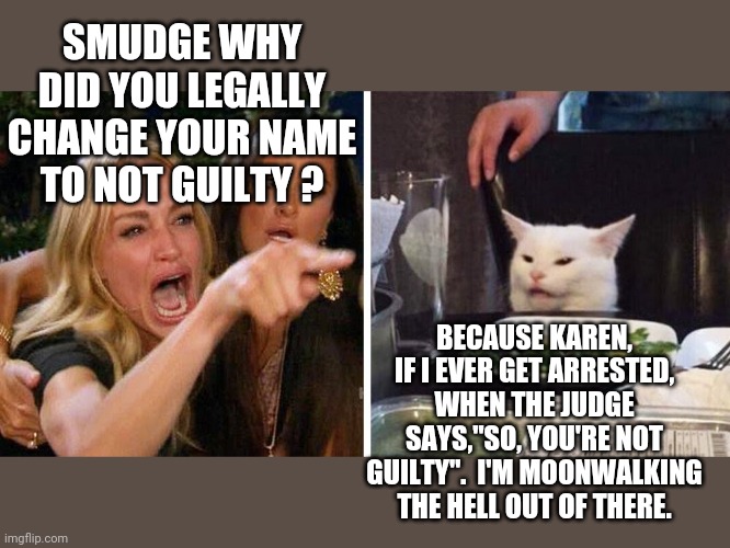 Smudge the cat | SMUDGE WHY DID YOU LEGALLY CHANGE YOUR NAME TO NOT GUILTY ? BECAUSE KAREN, IF I EVER GET ARRESTED, WHEN THE JUDGE SAYS,"SO, YOU'RE NOT GUILTY".  I'M MOONWALKING THE HELL OUT OF THERE. | image tagged in smudge the cat | made w/ Imgflip meme maker