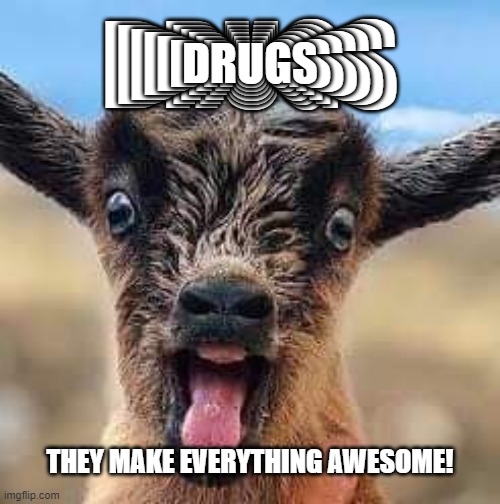 DRUGS; DRUGS; DRUGS; DRUGS; DRUGS; DRUGS; DRUGS; THEY MAKE EVERYTHING AWESOME! | image tagged in goat | made w/ Imgflip meme maker