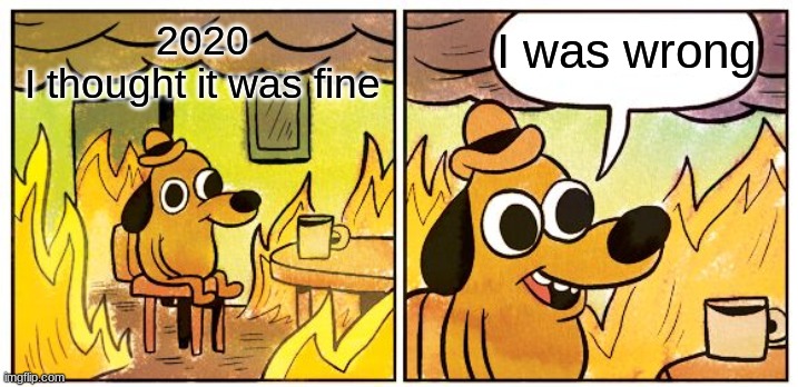 This Is Fine Meme | I was wrong; 2020



I thought it was fine | image tagged in memes,this is fine | made w/ Imgflip meme maker