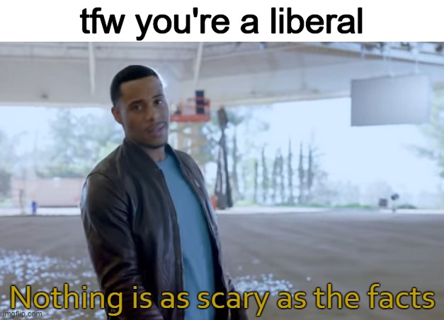 lol, this was a low blow | tfw you're a liberal | image tagged in nothing is as scary as the facts | made w/ Imgflip meme maker