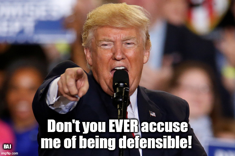 Indefensible | BAJ | image tagged in donald trump,indefensible | made w/ Imgflip meme maker