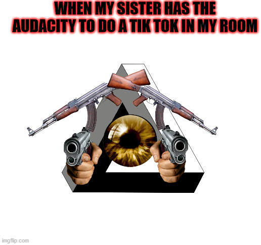 WHEN MY SISTER HAS THE AUDACITY TO DO A TIK TOK IN MY ROOM | image tagged in blank white template | made w/ Imgflip meme maker