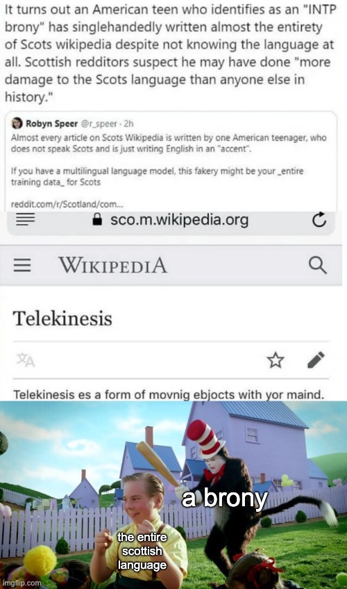 a brony; the entire scottish language | image tagged in cat the hat | made w/ Imgflip meme maker