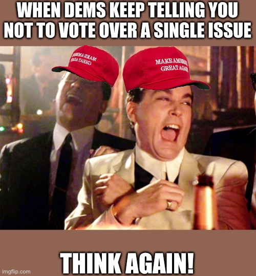 Good Fellas Hilarious | WHEN DEMS KEEP TELLING YOU NOT TO VOTE OVER A SINGLE ISSUE; THINK AGAIN! | image tagged in memes,good fellas hilarious,maga | made w/ Imgflip meme maker