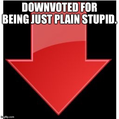 downvotes | DOWNVOTED FOR BEING JUST PLAIN STUPID. | image tagged in downvotes | made w/ Imgflip meme maker