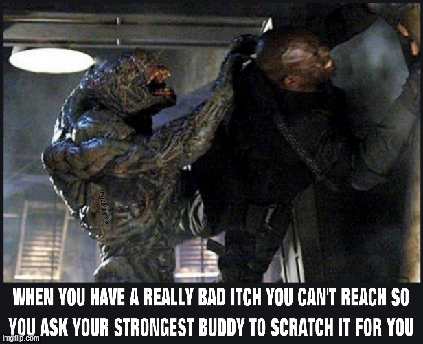 image tagged in doom,buddies,scratch,horror movie,video game,monster | made w/ Imgflip meme maker