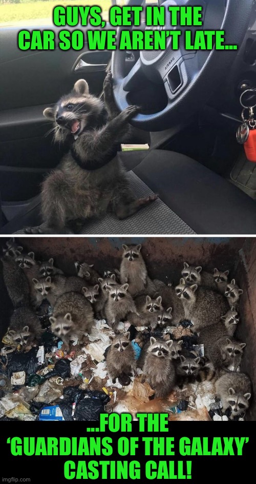 Auditions for the Part of “Rocket” | GUYS, GET IN THE CAR SO WE AREN’T LATE... ...FOR THE
 ‘GUARDIANS OF THE GALAXY’ 
CASTING CALL! | image tagged in funny memes,guardians of the galaxy,raccoon,rocket raccoon | made w/ Imgflip meme maker