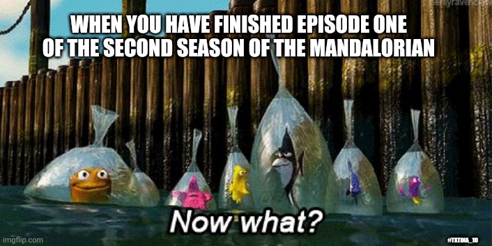 Now What? | WHEN YOU HAVE FINISHED EPISODE ONE OF THE SECOND SEASON OF THE MANDALORIAN; #TXTINA_10 | image tagged in now what,mandalorian | made w/ Imgflip meme maker