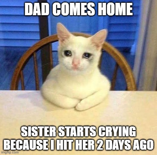 The Same Crying Cat Meme Every Day