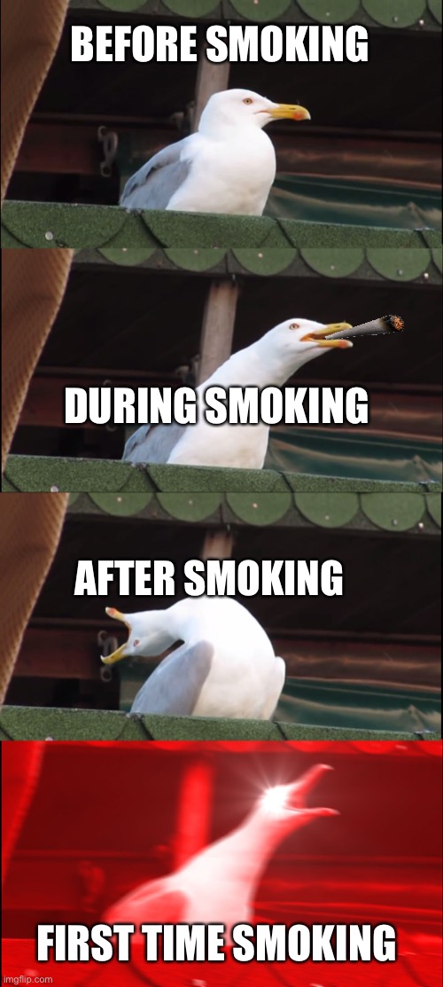 Inhaling Seagull | BEFORE SMOKING; DURING SMOKING; AFTER SMOKING; FIRST TIME SMOKING | image tagged in memes,inhaling seagull | made w/ Imgflip meme maker